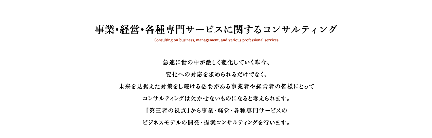 事業・経営・各種専門サービスに関するコンサルティング